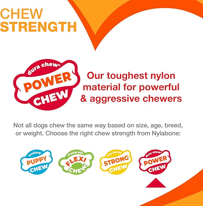 Nylabone Textured Bone Power Chew Toy for Dogs, Durable & Tough Dog Toys for Aggressive Chewers, Beef Jerky Flavor, Medium Dogs - Up to 35 lbs, 1 Count