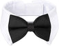Segarty Bow Tie Cat Collar for Neck Girth 8.8-10.5 in, Tux Puppies Dog Bowtie with Handcrafted Adjustable White Collar Formal Pet Cats Necktie for Cats Small Dog Wedding Party