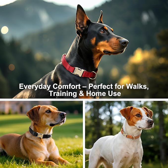 Plutus Pet Genuine Leather Dog Collar – Adjustable Pet Collar with Quick Release Metal Buckle, Soft Real Leather for Small Medium Large Dogs, Heavy Duty & Skin-Friendly (Burgundy, XS)