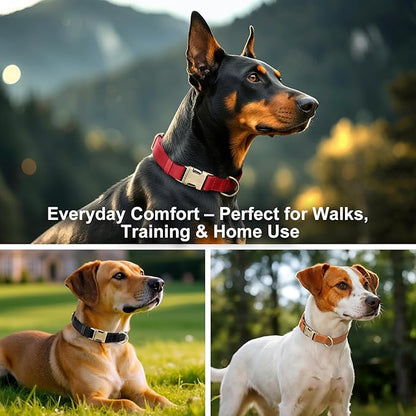 Plutus Pet Genuine Leather Dog Collar – Adjustable Pet Collar with Quick Release Metal Buckle, Soft Real Leather for Small Medium Large Dogs, Heavy Duty & Skin-Friendly (Royal Blue, M)