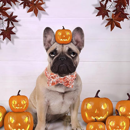 Halloween Dog Collar, Pet Collar Dog Bow Pumpkin Girl Boy Holiday Pet Collar Gift Cute Soft Puppy Collar for Medium Dogs