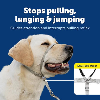 PetSafe Gentle Leader Headcollar No-Pull Dog Collar - Helps Improve Walks - Durable Nylon Construction - Padded Nose Loop - Adjustable Fit - Comfort Walking Halter - X-Large, Black