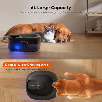 WOPET Dog Water Fountain for Large Dogs, 6L/205oz Automatic Cat Water Fountain with 5 Filters, Handle, BPA-Free Pet Water Dispenser for Multi-Pet & Cats, Ultra-Quiet Dog Water Bowl with LED Light
