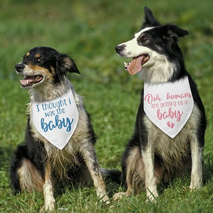 2 Packs Baby Announcement Dog Bandana Our Humans are Getting Us a Baby Gender Reveal Pet Dog Triangle Scarf Accessories Pregnancy Announcement for Small Medium Large Dogs Cats