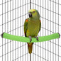 Rypet Parrot Perch Stand Toy Used for Cage Corner for Paw Grinding Clean Stick Exercise, Rough-Surfaced Quartz Bird Perch Standing Cage Accessorie for for Small Parakeets Cockatiel Conures (Green L)