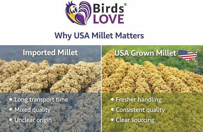 1lb Millet Tips & Tails for Birds - Parakeets, Cockatiels, Lovebirds, Finches, Budgies, Canaries, Cockatoos - Natural & Healthy Millet for Birds - Parakeet Food & Treats for All Parrots (2 Pack)