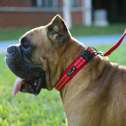 EXCELLENT ELITE SPANKER Reflective Dog Collar Classic Soft Padded Breathable Nylon Adjustable Pet Collar with Quick Release Buckle for Boy Girl Male Female Small Medium Large Dogs Training(Purple-XL,)