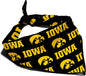 Iowa Hawkeyes Officially Licensed Bandana for Dogs and Cats | Fits Pets Great Gift Idea | Easy-to-Tie (Large, 28")