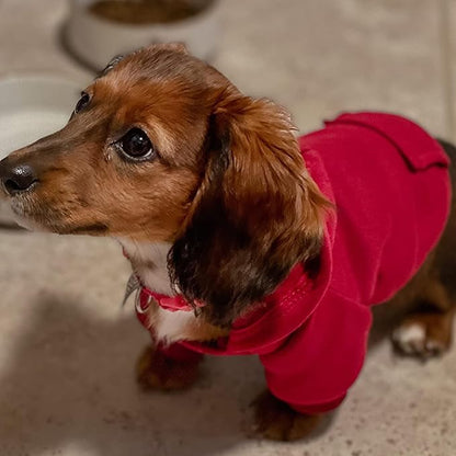 Jecikelon Winter Dog Hoodie Sweatshirts with Pockets Warm Dog Clothes for Small Dogs Chihuahua Coat Clothing Puppy Cat Custume (Wine red, Medium)