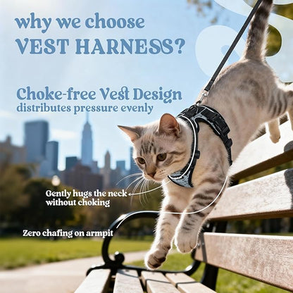 rabbitgoo Cat Harness and Leash for Walking, Escape Proof Soft Adjustable Vest Harnesses for Cats, Easy Control Breathable Reflective Strips Jacket, Doodle Gray,S