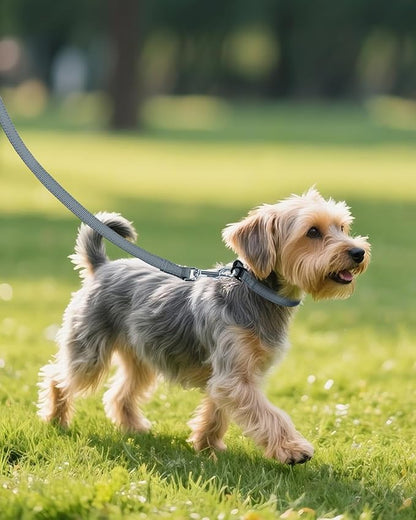Joytale Small Dog Collar, Reflective and Adjustable Nylon Collar with Quick-Release Buckle, Lightweight No-Choke Design for Small Dogs, Gray, 5/8" Width