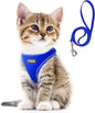 Fida Cat Harness and Leash Set for Walking Kitten and Puppy, Escape Proof Kitten Harness with Breathable Lightweight Soft Mesh, Adjustable Reflective Step-in Design for Kitten and Puppy.(XXXS, Blue)