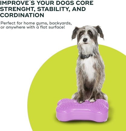 FitPAWS® K9FITbone® - Mini, Razzleberry (Set of 2) | Dog Balance Training Platform & Exercise Equipment | Workout Tool for Strength, Core & Stability