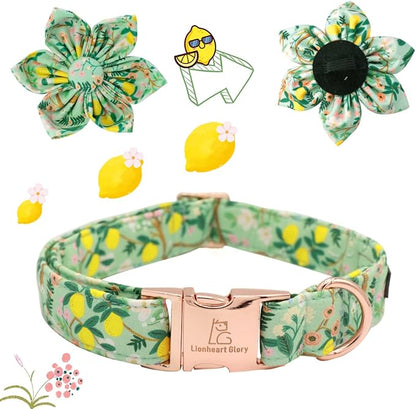 Lionheart Glory Dog Collar, Dog Collar with Flower, Cute Lemon Floral Pattern Pet Collar Adjustable Dog Collar for X-Small Dogs