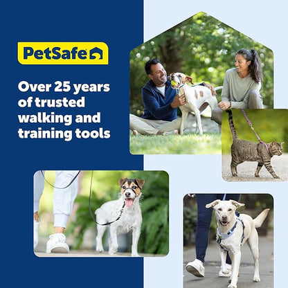 PetSafe Come With Me Kitty Cat Harness & Bungee Leash - Comfortable Cat Harness with Lightweight Bungee Leash for Outdoor Fun - More Secure Walks - Small - Lilac