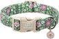 St. Patrick's Day Dog Collar, UP URARA PUP Shamrock Adjustable Pet Collar with Quick Release, St. Patrick's Day Dog Accessories for Small Medium Large Dogs
