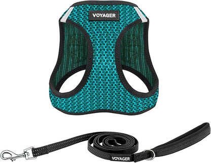Best Pet Supplies Voyager Step-in Air All Weather Mesh Harness and Reflective Dog 5 ft Leash Combo with Neoprene Handle, for Small, Medium and Large Breed Puppies - Turquoise (2-Tone), L