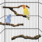 kathson 3pcs Natural Parrot Perch for Cage Wooden Bird Perches Grape Bird Stick Parakeet Climbing Standing Branches Toy Chewable Cage Accessories for Small Budgies Cockatiels Lovebirds Budgies
