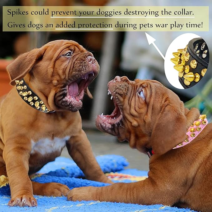 TEEMERRYCA Black Leather Dog Collar with Gold Spikes for Small Medium Large Pets,Pit Bulls/Bulldog, Keep Dog Safe from Grabbing by Huge Dogs,S(10.8"-13.2")