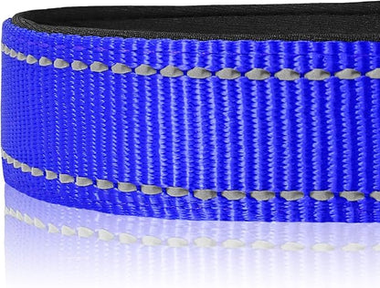 Joytale Reflective Dog Collar, Soft Neoprene Padded, Metal D-Ring, Nylon Pet Collar Adjustable for Medium Dogs, Navy Blue, M