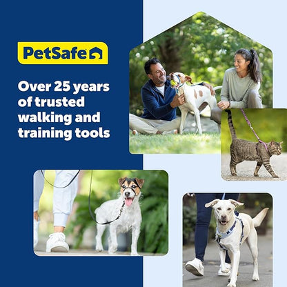 PetSafe KeepSafe Collar for Dogs - Protects Against Collar Accidents - Long Lasting - Durable - Adjustable - Breakaway - Outdoor-Safe - Medium - 1 In. Wide - Black
