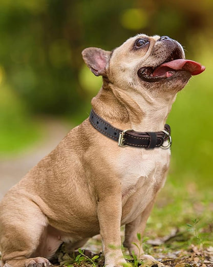 Joytale Leather Dog Collar for Small Dogs, Genuine Solid Sturdy Leather for Active Small Breeds, Adjustable Metal Pin Buckle, Durable and Secure Pet Collar for Daily Use, Brown, S