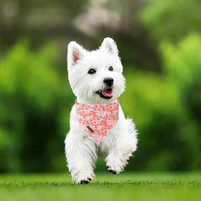 Summer Dog Bandana, UP URARA PUP Orange Bandana for Small Large Dogs, Cotton Handkerchief Cute Flower Puppy Triangle Bid Scarf for Boy Girl Dogs