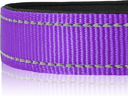Joytale Reflective Dog Collar,Soft Neoprene Padded Breathable Nylon Pet Collar Adjustable for Small Dogs,Purple,S