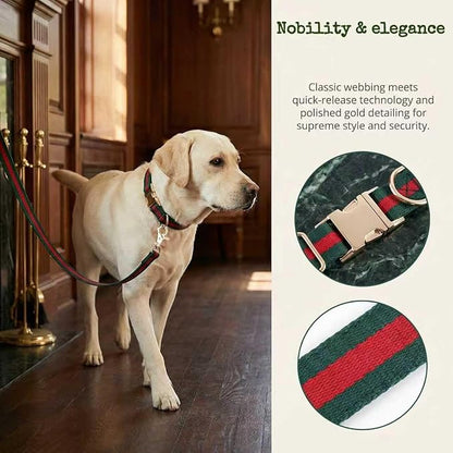 Premium Dog Collar, Cute Dog Collars Luxury Style, Durable Pet Collars and Dog Leash with Metal Buckle Safety for Medium Dogs