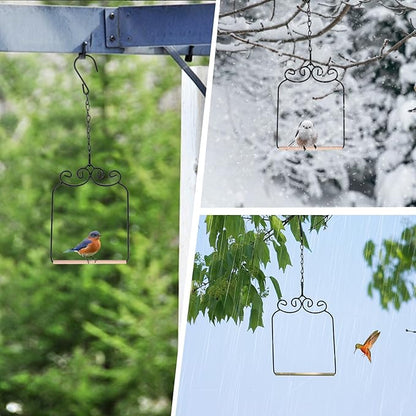 2PK Metal Frame Hummingbird Swings and Perches with Wooden Dowel Black Bird Swing Outdoor Bird Perch Humming Bird Swing (2PK)