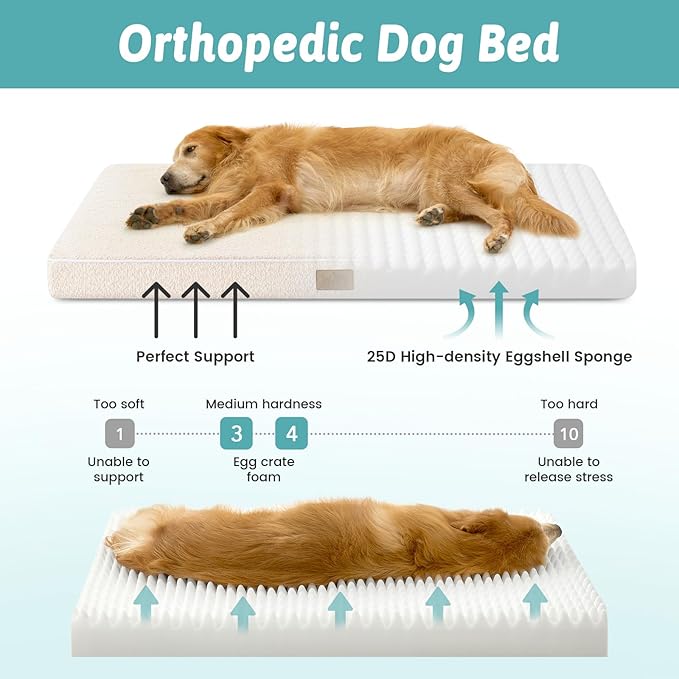 Big Dog Bed for Giant Dogs, Rectangular XXL Orthopedic Dog Beds Extra Large, Foam Anti-Slip Bottom Pet Mat with Washable Removable Cover, Suitable for Pet Up to 150 lbs, 54x44x4 inch, Beige