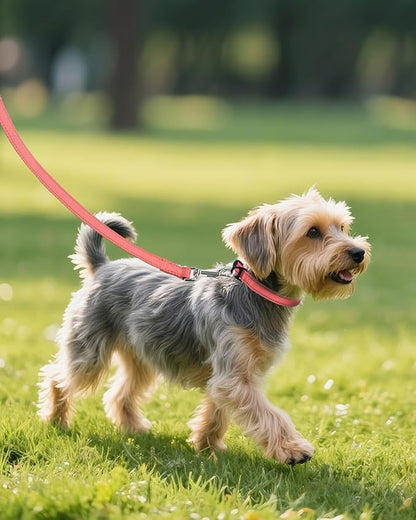 Joytale Small Dog Collar, Reflective and Adjustable Nylon Collar with Quick-Release Buckle, Lightweight No-Choke Design for Small Dogs, Pink, 5/8" Width