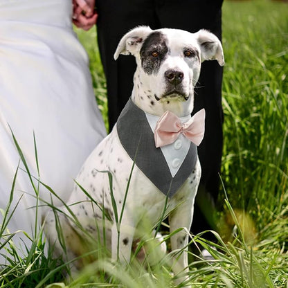 FUAMEY Dog Tuxedo for Small Dogs,Dog Formal Suit Dogs Attire Pet Bow Tie Puppy Party Costumes Cat Tux Outfits Pets Bandana Cosplay Adjustable Bowties Wedding Birthday Valentines Grey S