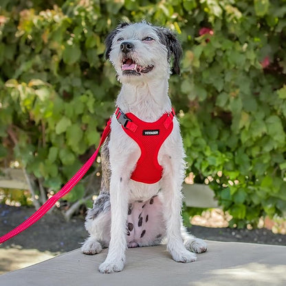 Voyager Step-in Pet Harness - All Weather Mesh, Adjustable Step in Harness for Cats and Dogs by Best Pet Supplies - Red, L