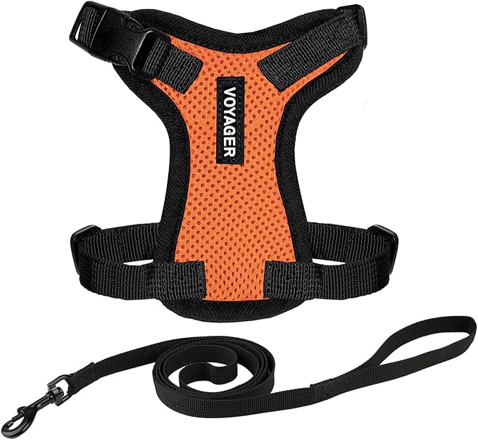 Voyager Escape-Proof Step-in Lock Cat Harness & 5ft Neoprene-Handle Leash Set All-Weather Mesh with Reflective Stitching for Small to Large Cats by Best Pet Supplies, Orange/Black Trim, XS