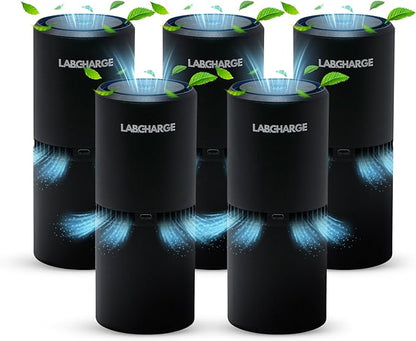 LabCharge Small Ionic Air Purifier for Home & Bedroom – Silent HEPA Filter – Covers 250 Sq Ft - Free Cleaner for Pets, Hair, Smoke, Dust, Odors & Dander – Compact & Black Design - Pack of 5