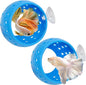 Fhiny Betta Tunnel, 2 PCS Aquarium Fish Hideout with Suction Cup Tank Tunnel Shrimp Cave Aquarium Ornament Fish Tank Accessories for Shrimp Betta Guppy Hiding Resting (Blue)