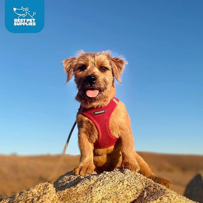 Best Pet Supplies Voyager Step-in Air Harness - All Weather Mesh, Reflective, No Pull Harness for Dogs, Cats - Secure with Hook & Loop Fastener, Buckle, Double D-Rings - Red, S