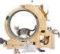 Cat Running Wheel,Cat Treadmill for Indoor Cats,Exercise Wheel Wood Climbing Frame,55''Oversized Roller Indoor Activity Center,Large (6-in-1)