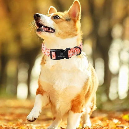Fall Dog Collar, Cute Football Pattern Puppy Collar, Orange Adjustable Cotton Holiday Tanksgiving Dog Collars for Small Medium Large Boy&Girl Dogs XL
