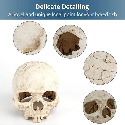 Uniclife Aquarium Skull Reptile House Decor Resin Head Skeleton Ornament for Tank Landscape Decorative Hideout Cave Shelter for Small Fish Shrimp Snail Gecko Spider Lizard in 5-20 Gallon Fish Tank