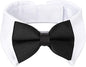 Segarty Black Bow Tie Dog Collar for Neck Girths 10.2-12.6 in, Tux Bowtie with Handcrafted Adjustable White Collar Formal Pet Cats Puppies Necktie for Wedding Birthday Party
