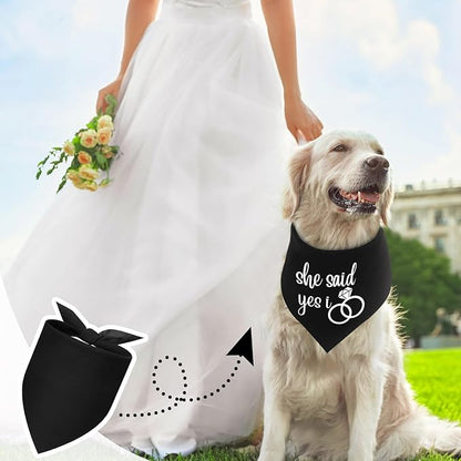 Abbylike 20 Pcs Sublimation Blank Dog Bandanas Plain Bandanas for Dogs Heat Transfer Triangle Bibs DIY for Puppy Cat Pets Birthday Costume Accessories Party Decoration (Black,Small)
