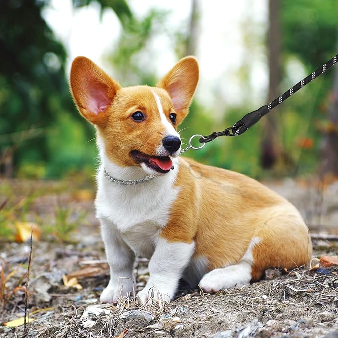 TagME Chain Choke Collar for Dogs, Adjustable Weather Proof Necklace for Small and Puppy Dogs, Alloy Steel Pet Training Collar