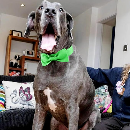 Segarty Bow Tie for Dogs Neck Girth 16.5-21.3in, Adjustable Green Bowtie Collar Extra Large Dogs, Dog Necktie Tuxedo Comfortable Cotton Boy Pet Grooming Accessory for Formal Wedding Holiday Birthday