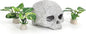 Fish Aquarium Decorations Cave Hide with Viewing Window for Betta Fish Tank Decor