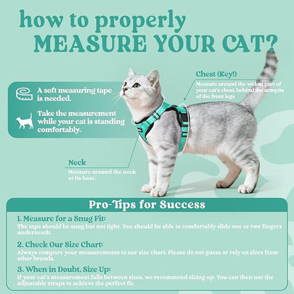 rabbitgoo Cat Harness and Leash for Walking, Escape Proof Soft Adjustable Vest Harnesses for Cats, Easy Control Breathable Reflective Strips Jacket, Emerald, XXS
