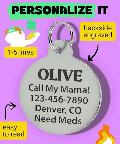 Bad Tags Personalized Dog and Cat ID Tags in 25+ Designs and 2 Sizes - 5 Lines of Custom Engraved Text - Funny Cute Personalized Pet Tags (Cheese Tax Collector, Small (1 inch))
