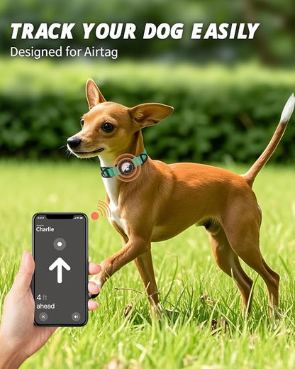 Joytale Airtag Dog Collar, Reflective Pet Collar with Waterproof AirTag Holder, Dual D-Rings, Soft Padded Adjustable for Extra Small and Puppy Dogs, Teal, XS