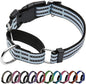 Martingale Dog Collar, Adjustable Nylon Reflective Collar with Quick Release Buckle (Ice Blue, Large)